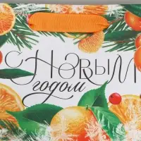 Пакет подарочный новогодний ламинированный &laquo;Новогоднее настроение&raquo;, S 15 х 12 х 5.5 см