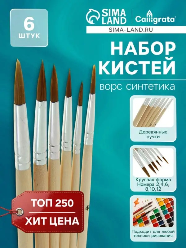 Набор кистей для рисования, нейлон, 6 штук: № 2, 4, 6, 8, 10, 12, круглые, деревянная ручка, международный размер