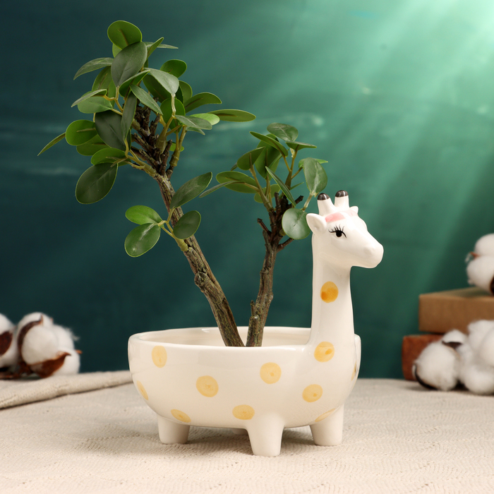 Кашпо - бонсай Кашпо - бонсай "Жираф" 19х13х13см