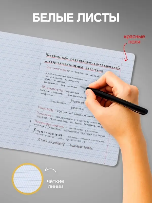 Комплект тетрадей из 10 штук, 12 листов в частую косую линию Calligrata "Пятёрка. Зелёная", обложка мелованный картон, блок офсет