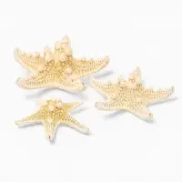 Набор из 3 морских звезд, размер 5-7 см, 7-10  см, 10-12 см, белые