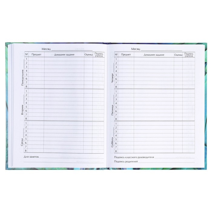 Дневник для 5-11 классов, "Перья", твердая обложка 7БЦ, глянцевая ламинация, 48 листов