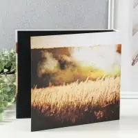 Фотоальбом 25 листов (уголки+кольца) "СВО. На память о службе" 25х23 см Фотоальбом 25 листов (уголки+кольца) "СВО. На память о службе" 25х23 см