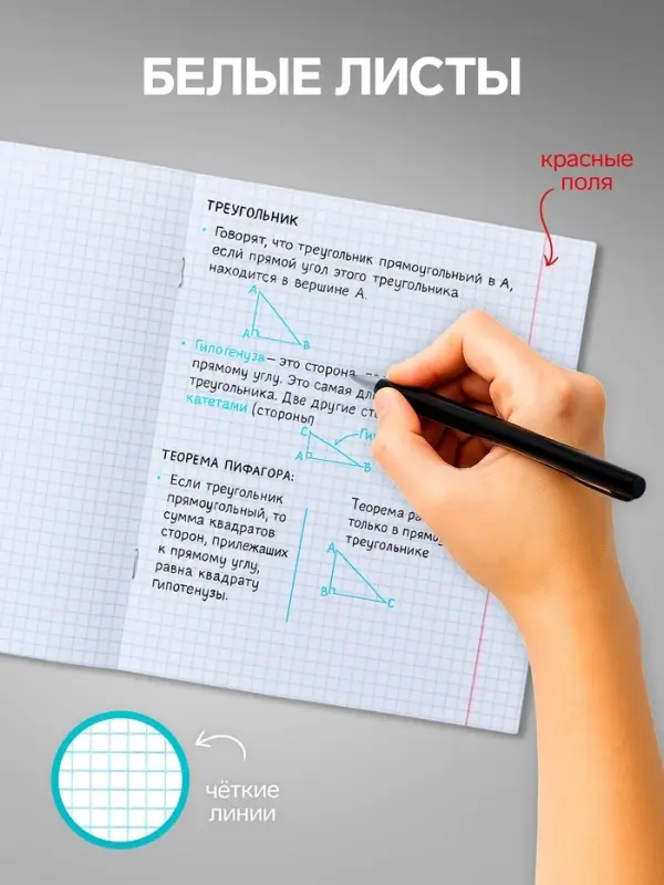 Набор тетрадей, 48 листов в клетку, Calligrata &laquo;В розовых очках&raquo;, серые листы, 5 штук