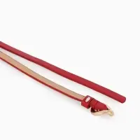 Ремень жен 01-01-01-07, Июнь2514, 1*0,3*110 см, без винта, пряж золото, затяж, красный