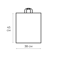 Пакет с петлевой ручкой 38х45+3 (35) Золотая полоса 50 шт/уп