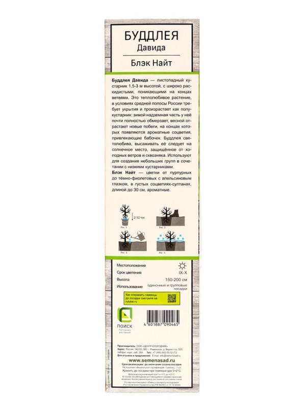 Буддлея Давида «Блэк Найт», саженец, туба, 1 шт. Буддлея Давида «Блэк Найт», саженец, туба, 1 шт.