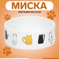 Миска &laquo;Котяры&raquo; 300 мл 12.5&times;4.5 см, керамика, белая