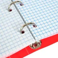 Тетрадь на кольцах Calligrata А5, 120 листов, в клетку, пластиковая обложка, блок офсет, красная