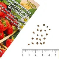 Семена Земляника &laquo;Шустрёнок&raquo;, 10 шт., ремонтантная, крупноплодная, &laquo;Уральский дачник&raquo;