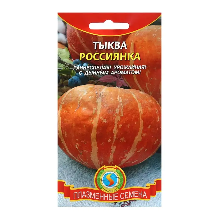 Семена Тыква "Россиянка", 2 г Семена Тыква "Россиянка", 2 г