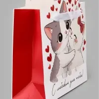 Пакет подарочный &laquo;С любовью&raquo;, котики, 25&times;26&times;10 см
