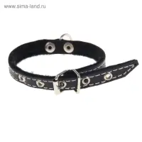 Ошейник тисненый на фетре, 30&times;1.2 см, кожа, цвет МИКС