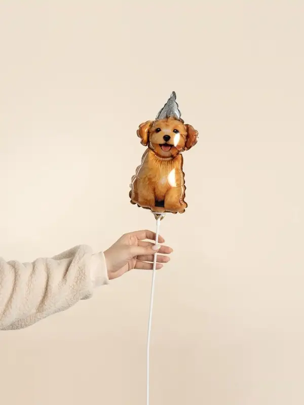 Воздушный шар фольгированный 17" &laquo;Пёсик в колпачке&raquo;, набор 5 шт.