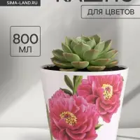 Кашпо для цветов &laquo;Пионы&raquo;, 800 мл, d=12 см, h=11 см, пластиковое