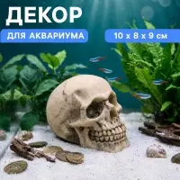 Декор для аквариума "Череп", 10 х 8 х 9 см