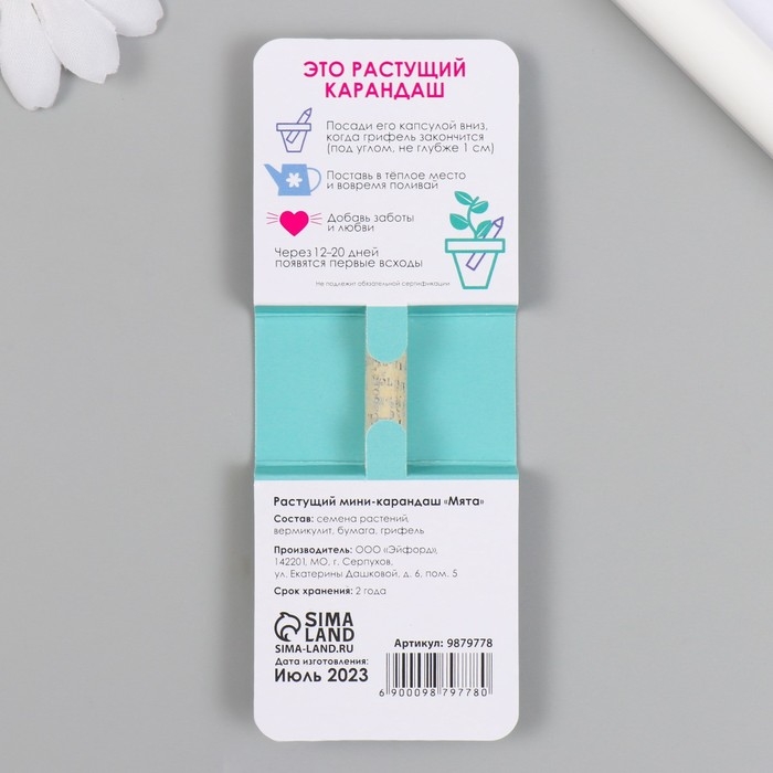 Растущие подарочные карандаши mini Обрети спокойствие "Мята"