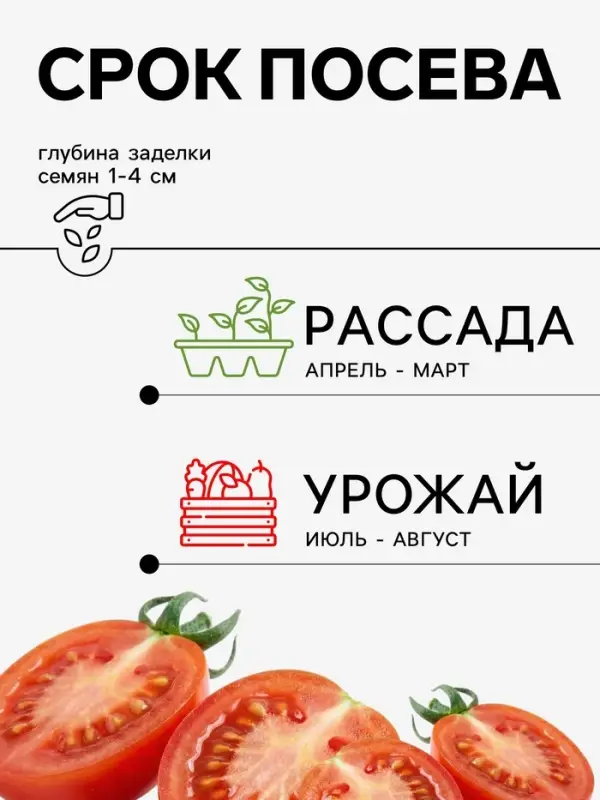 Семена Томат &laquo;Канопус&raquo;, 0.08 г, &laquo;Агросс&raquo;