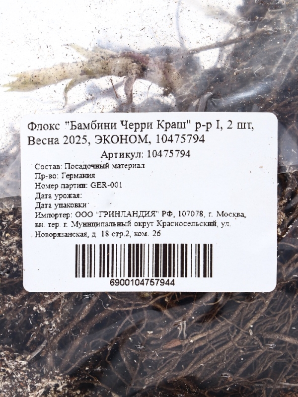 Флокс "Бамбини Черри Краш" р-р I, 2 шт, Весна 2025, ЭКОНОМ,