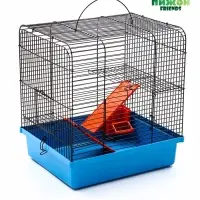 Клетка для грызунов "Мини" двухярусная, 29 x 25 х 32 см, синий Клетка для грызунов "Мини" двухярусная, 29 x 25 х 32 см, синий