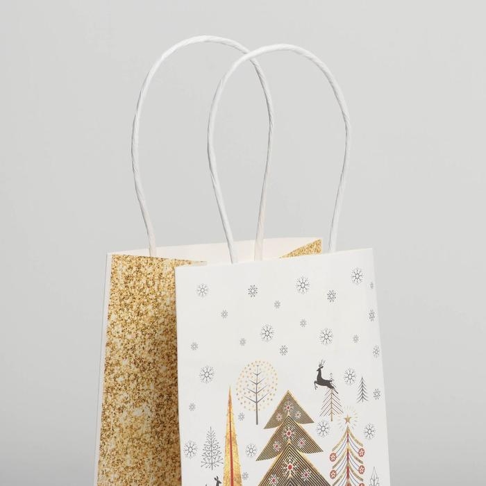 Пакет подарочный новогодний крафтовый «Сказка», 12 х 21 х 9 см, Новый год Пакет подарочный новогодний крафтовый «Сказка», 12 х 21 х 9 см, Новый год
