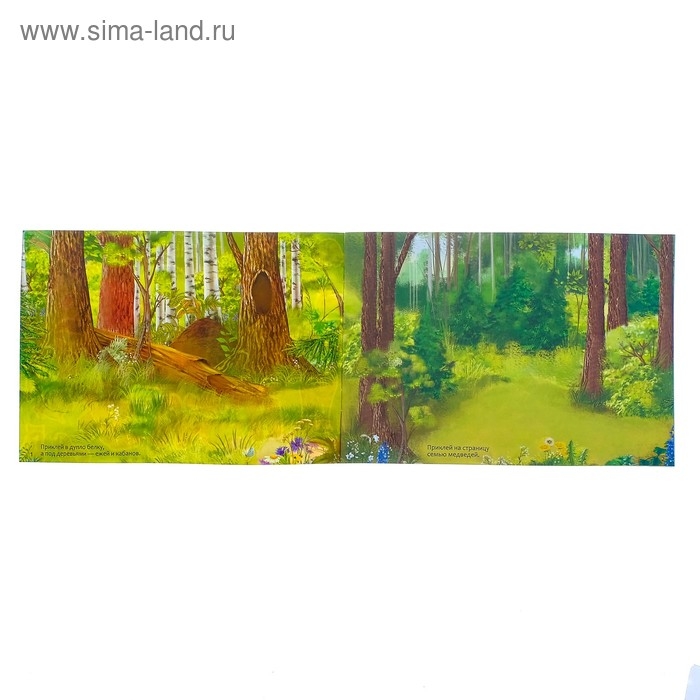 100 наклеек «Животные леса», 12 стр. 100 наклеек «Животные леса», 12 стр.