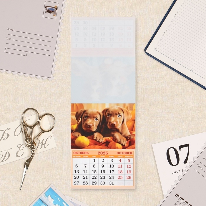 Календарь отрывной на магните Календарь отрывной на магните "Милый друг" 2025 год, 9,5 х 13 см