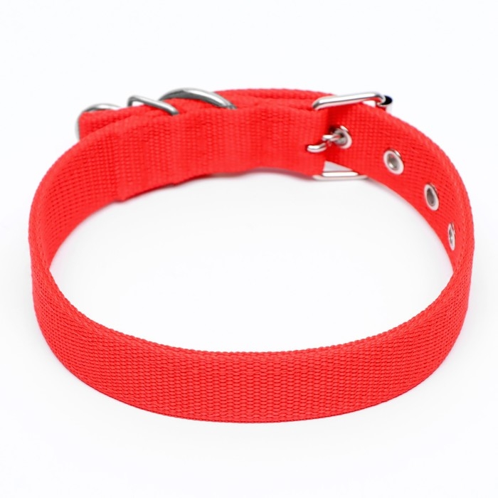 Ошейник двухслойный с вертлюгом, 58 х 3 см, полиэстер, красный Ошейник двухслойный с вертлюгом, 58 х 3 см, полиэстер, красный