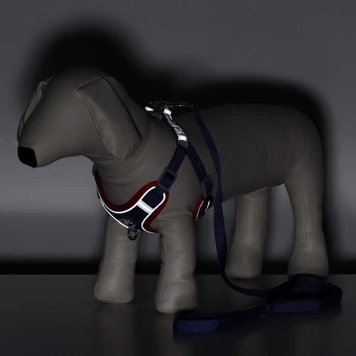 Комплект Sport+, S, поводок 150 x 1,5 см, ОШ 39-41 см, ОГ 44-48 см, вес животного 7-13 кг, синий 96 Комплект Sport+, S, поводок 150 x 1,5 см, ОШ 39-41 см, ОГ 44-48 см, вес животного 7-13 кг, синий 96