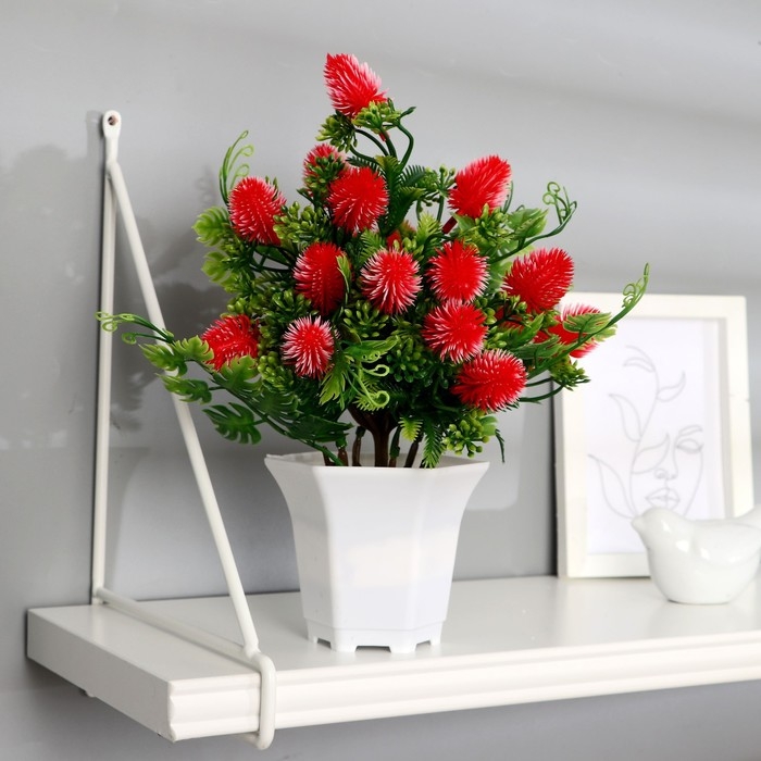 Бонсай в горшке Бонсай в горшке "Каллистефус галант" 21х23 см, микс