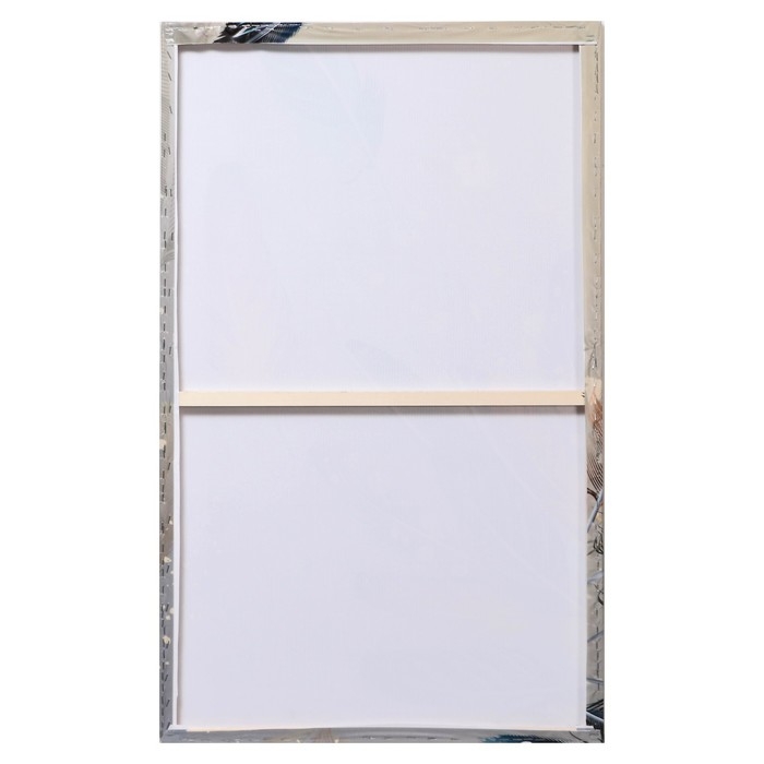 Картина Картина "Радужные перья" 60*100 см