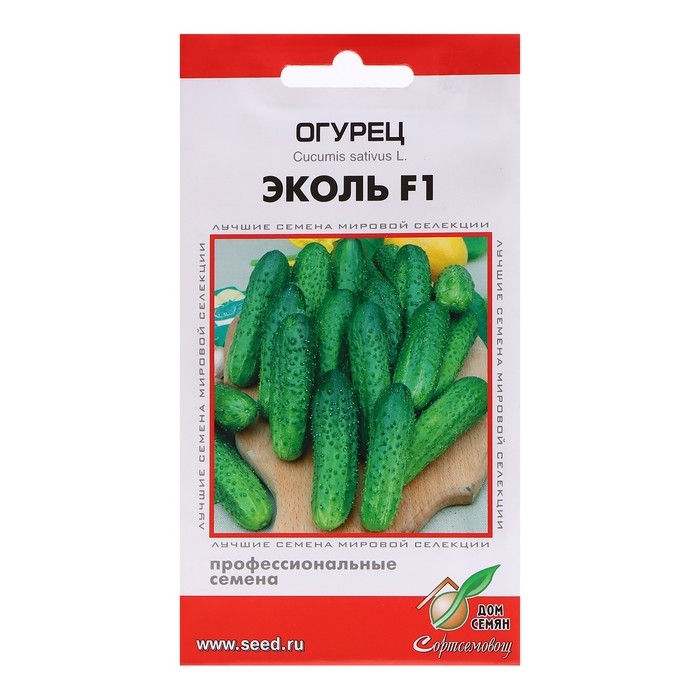 Семена Огурец  Семена Огурец "Эколь F1", 6 шт