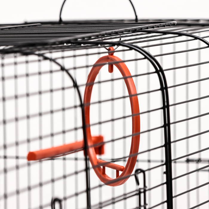 Клетка пролётная 2 яруса, 100 х 37 х 37 см, микс цветов Клетка пролётная 2 яруса, 100 х 37 х 37 см, микс цветов