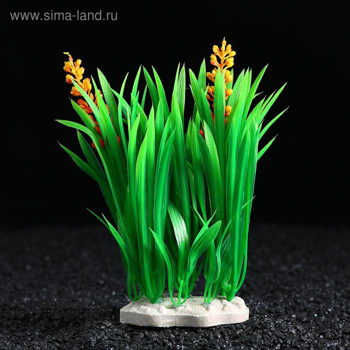 Растение искусственное Растение искусственное