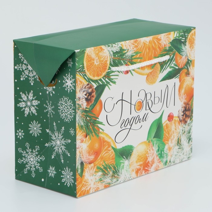 Пакет—коробка «Снежная история», 23 х 18 х 11 см Пакет—коробка «Снежная история», 23 х 18 х 11 см