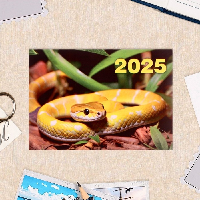 Набор карманных календарей Набор карманных календарей "Символ года - 2" 2025 год, 7 х 10 см, 15 штук