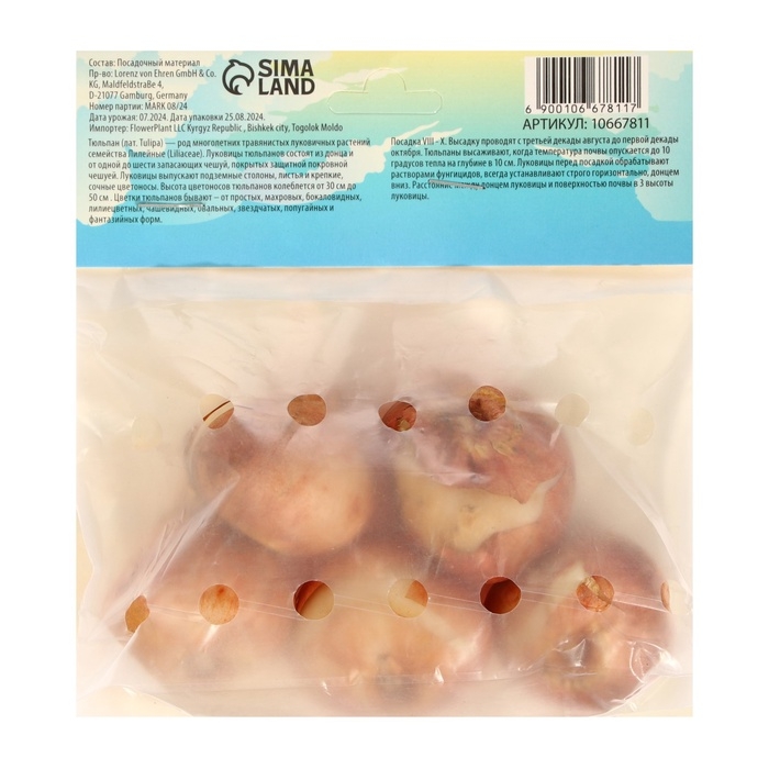 Тюльпан Дарвин гибрид Трик, р-р 12+, 5 шт, Осень 2024 Тюльпан Дарвин гибрид Трик, р-р 12+, 5 шт, Осень 2024