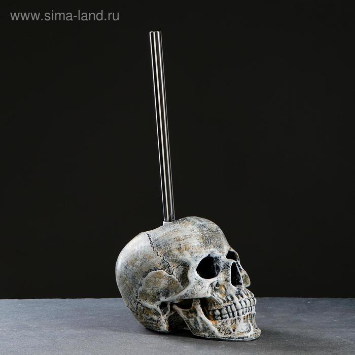 Подставка под ёрш  Подставка под ёрш "Череп" 16х15х22см (ершик н/сталь)