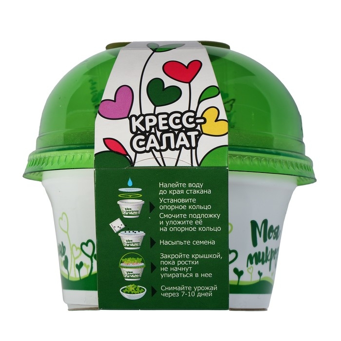 Набор для выращивания «Моя микрозелень», кресс-салат Набор для выращивания «Моя микрозелень», кресс-салат