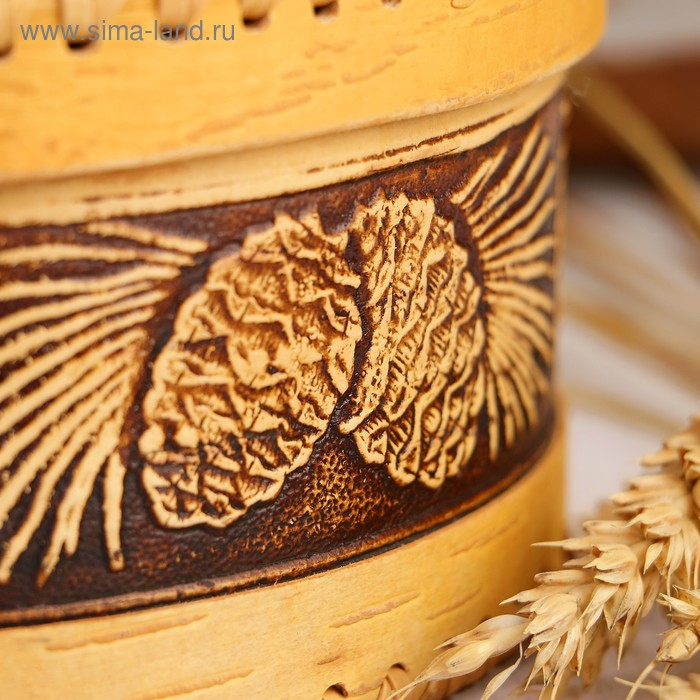 Шкатулка &laquo;Шишки&raquo;, 18,5&times;18,5&times;8 см, береста