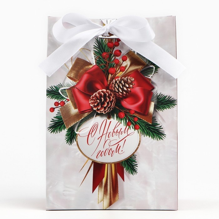 Пакет подарочный новогодний с лентой «Новый год», 13 х 19 х 9 см , Новый год Пакет подарочный новогодний с лентой «Новый год», 13 х 19 х 9 см , Новый год