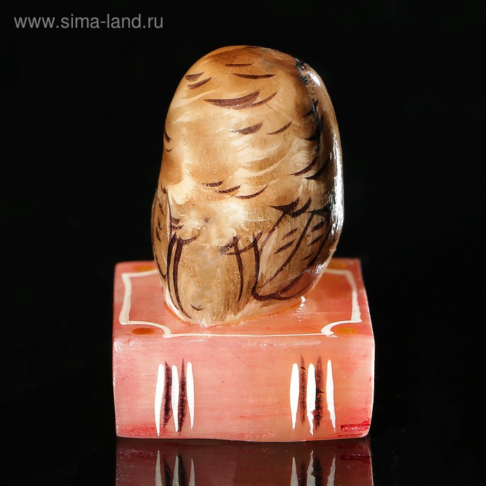 Сувенир «Совенок на книге», 3,5×5 см, селенит Сувенир «Совенок на книге», 3,5×5 см, селенит