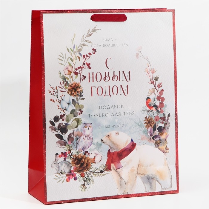 Пакет подарочный новогодний ламинированный «Время чудес», L 31 х 40 х 11,5 см, Новый год Пакет подарочный новогодний ламинированный «Время чудес», L 31 х 40 х 11,5 см, Новый год