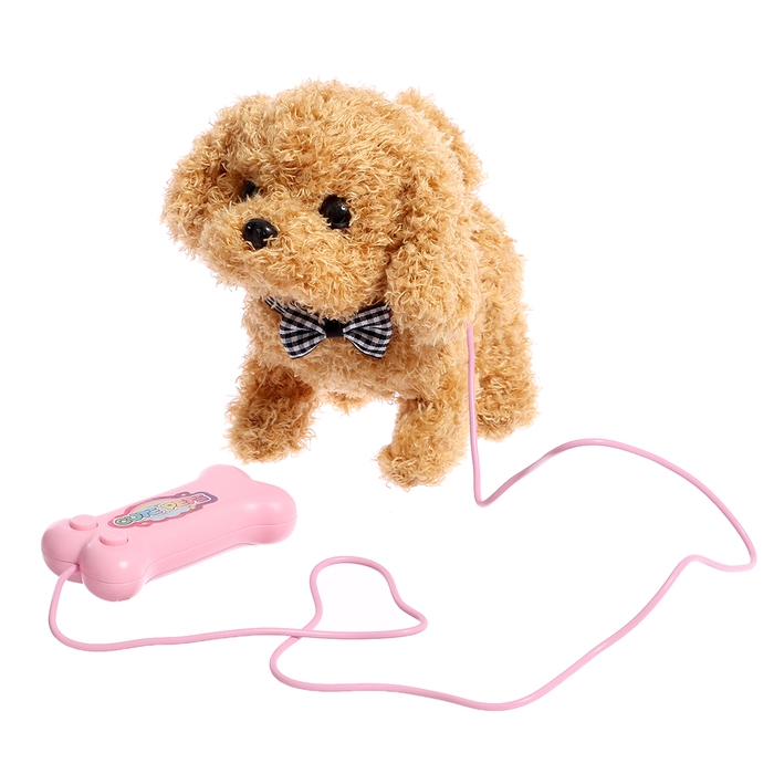 Интерактивная игрушка «Мой дружок», звук, ходит, управление с пульта, МИКС Интерактивная игрушка «Мой дружок», звук, ходит, управление с пульта, МИКС