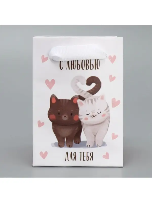 Пакет подарочный ламинированный, упаковка, «Котики», 7×10×7 см Пакет подарочный ламинированный, упаковка, «Котики», 7×10×7 см