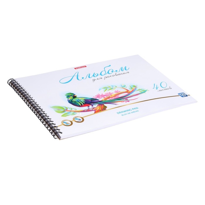 Альбом для рисования А4, 40 листов, блок 120 г/м&sup2;, на спирали, Erich Krause "Birds", пластиковая обложка, 100% белизна, перфорация на отрыв, твердая подложка