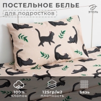 Постельное бельё Этель 1,5 сп "Little cat", 143х215 см, 150х214 см, 50х70 см -1 шт, 100% хлопок, бязь