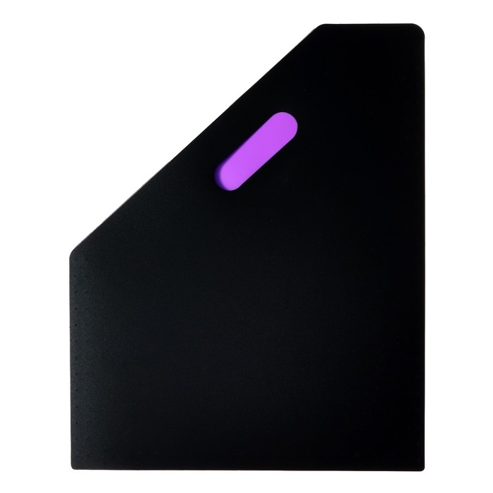 Лоток вертикальный для бумаг А4, пластик, 13 отделений, чёрный Лоток вертикальный для бумаг А4, пластик, 13 отделений, чёрный