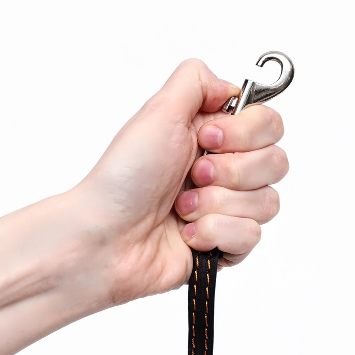 Поводок кожаный однослойный, простроченный, 1.41 м х 1.2 см, черный Поводок кожаный однослойный, простроченный, 1.41 м х 1.2 см, черный