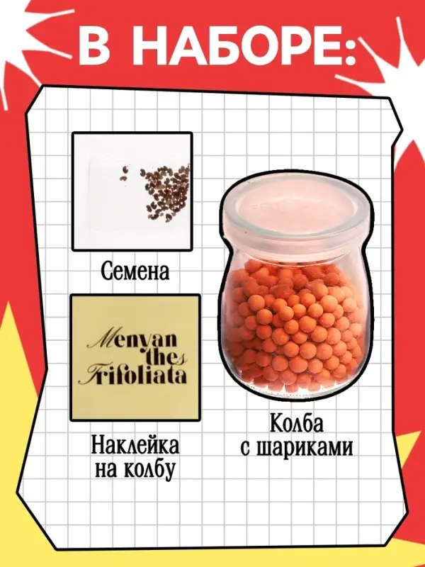 Набор для опытов &laquo;Выращиваем травку&raquo; своими руками, красный